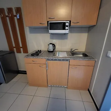 公寓式酒店 Appart Hotel Rossdorf